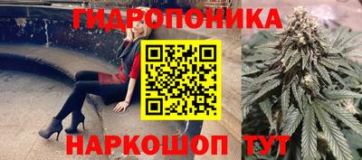 стафф Бугуруслан