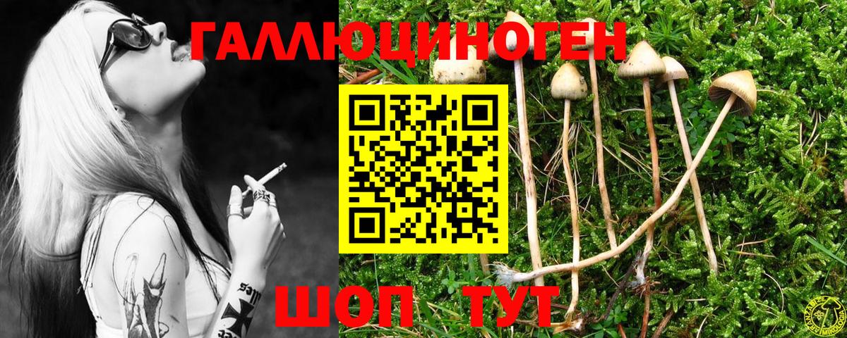 Псилоцибиновые грибы ЛСД  Псилоцибиновые грибы Magic Shrooms  Глазов 