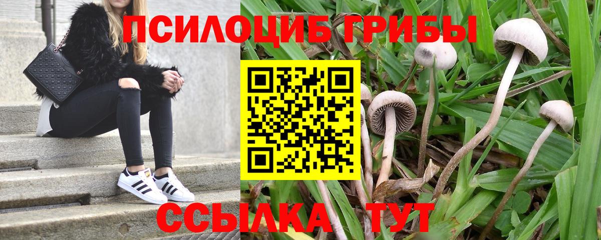 Галлюциногенные грибы MAGIC MUSHROOMS Глазов