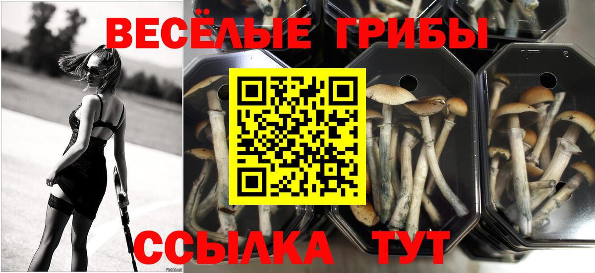 Метадон Глазов