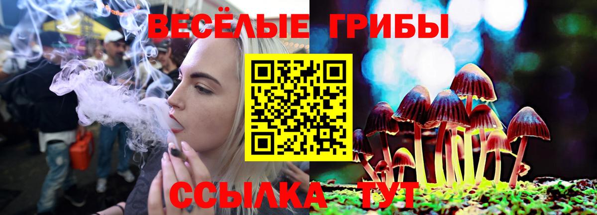 Галлюциногенные грибы мицелий  Псилоцибиновые грибы Psilocybe  Вход с VPN  как найти закладки  Глазов 