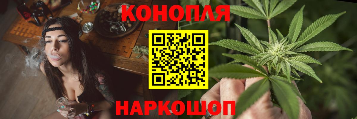 Бошки Шишки MAZAR Глазов